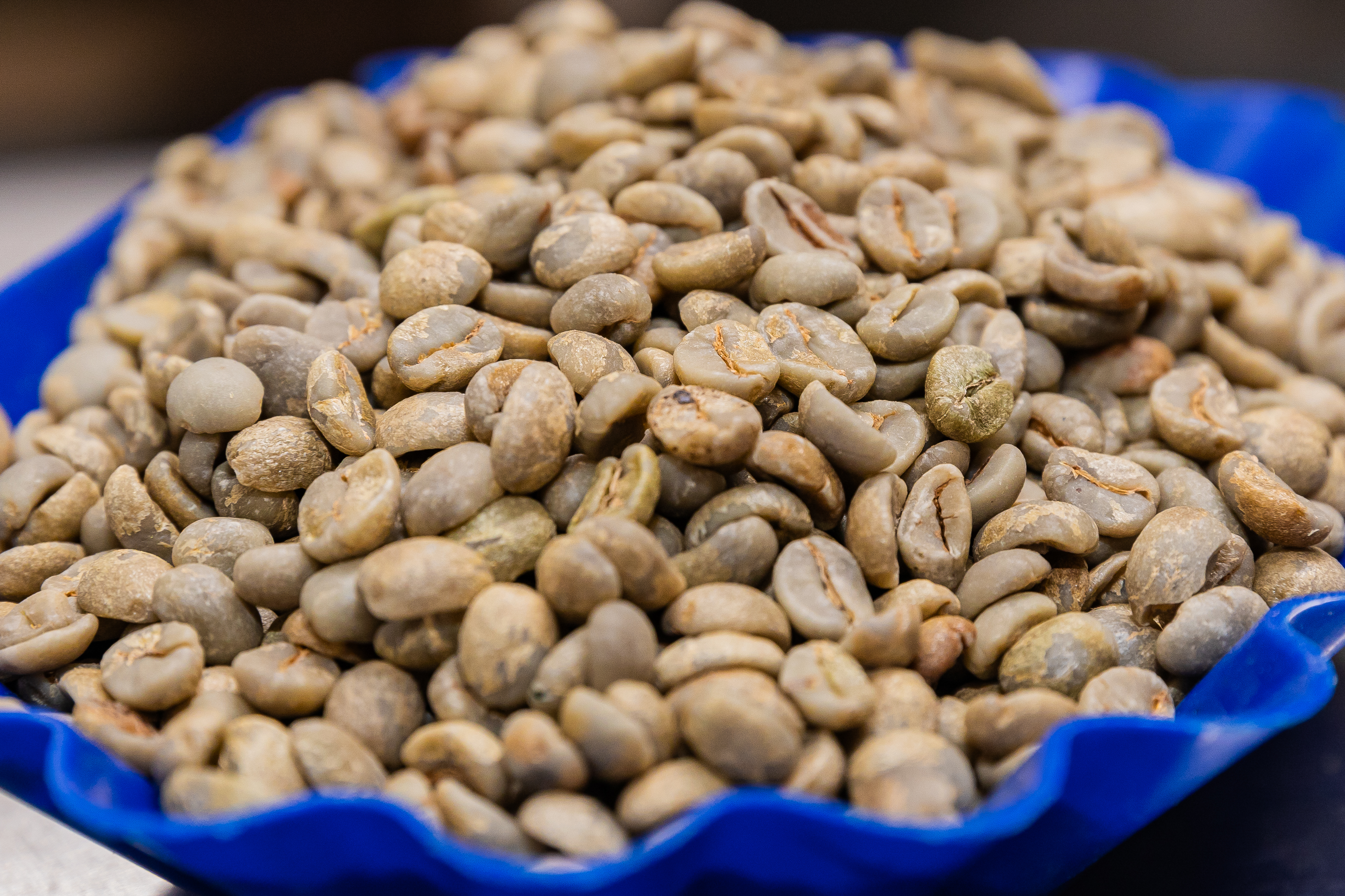 Kaffea-X specialty coffee trading platform hero background showing coffee beans and trading analytics